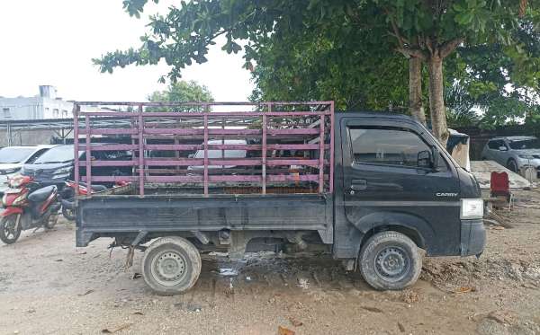 SUZUKI  CARRY  PU