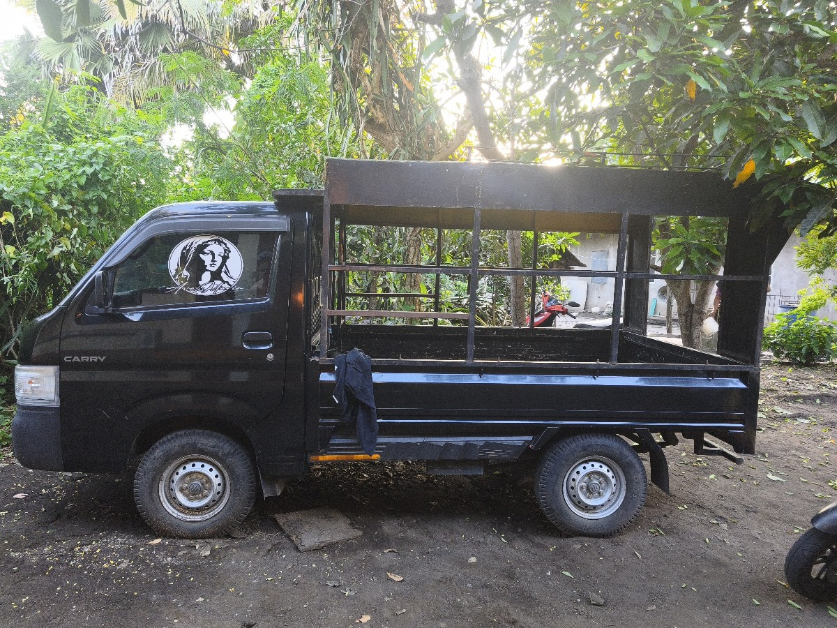 SUZUKI CARRY CARRY PU