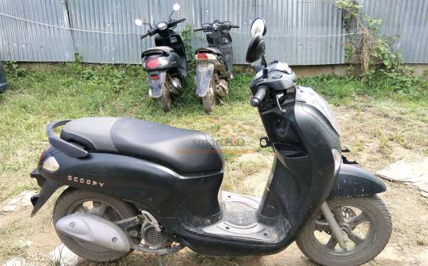 HONDA  SCOOPY