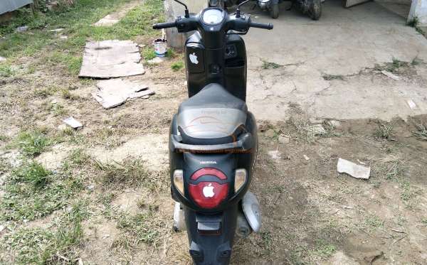 HONDA  SCOOPY