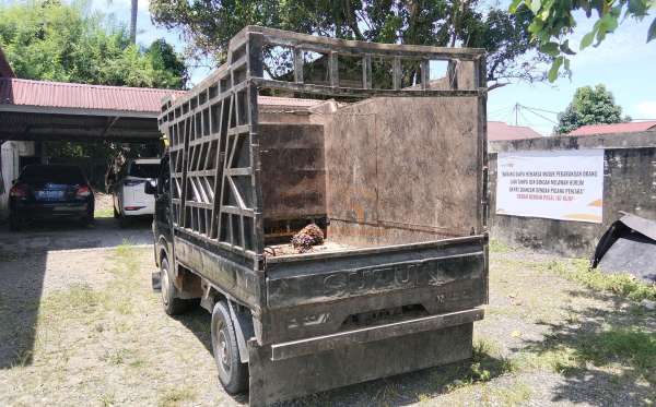 SUZUKI  CARRY  PU
