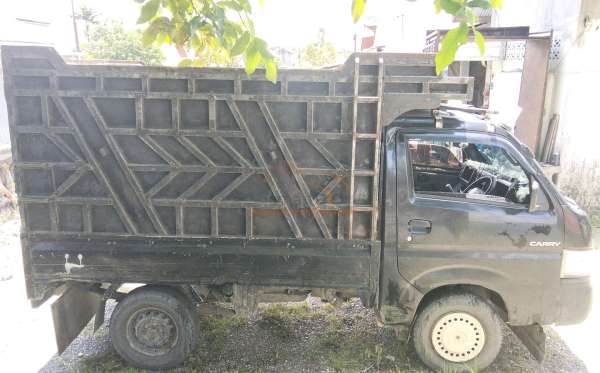 SUZUKI  CARRY  PU
