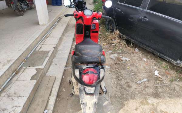 HONDA  SCOOPY