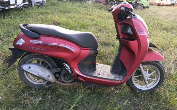 HONDA SCOOPY
