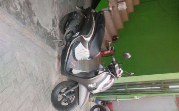 HONDA  SCOOPY