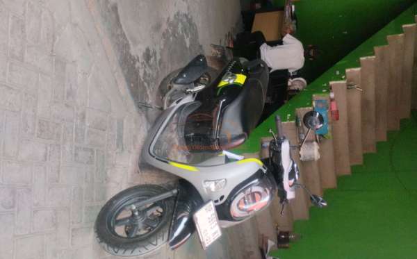 HONDA  SCOOPY