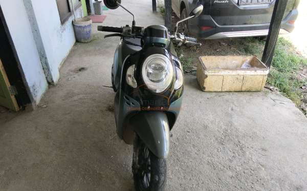 HONDA SCOOPY STYLISH