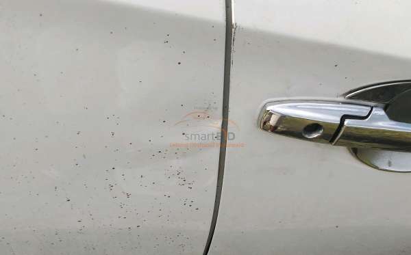 HONDA MOBILIO