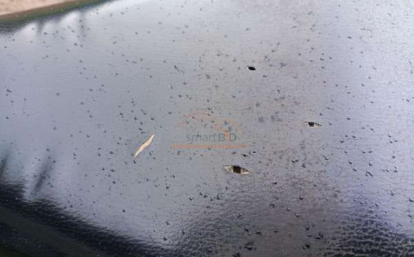 HONDA REVO FIT FI