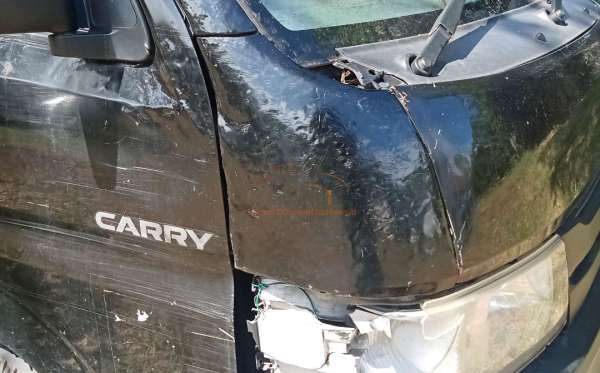 SUZUKI  CARRY  PU