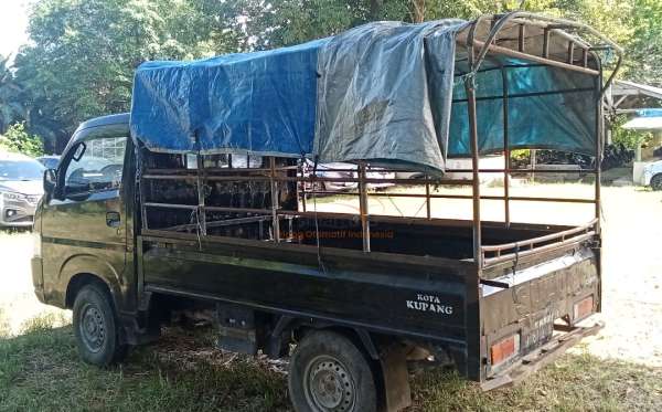 SUZUKI  CARRY  PU
