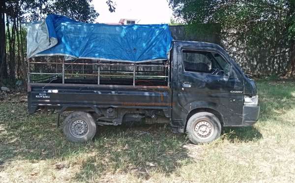 SUZUKI  CARRY  PU
