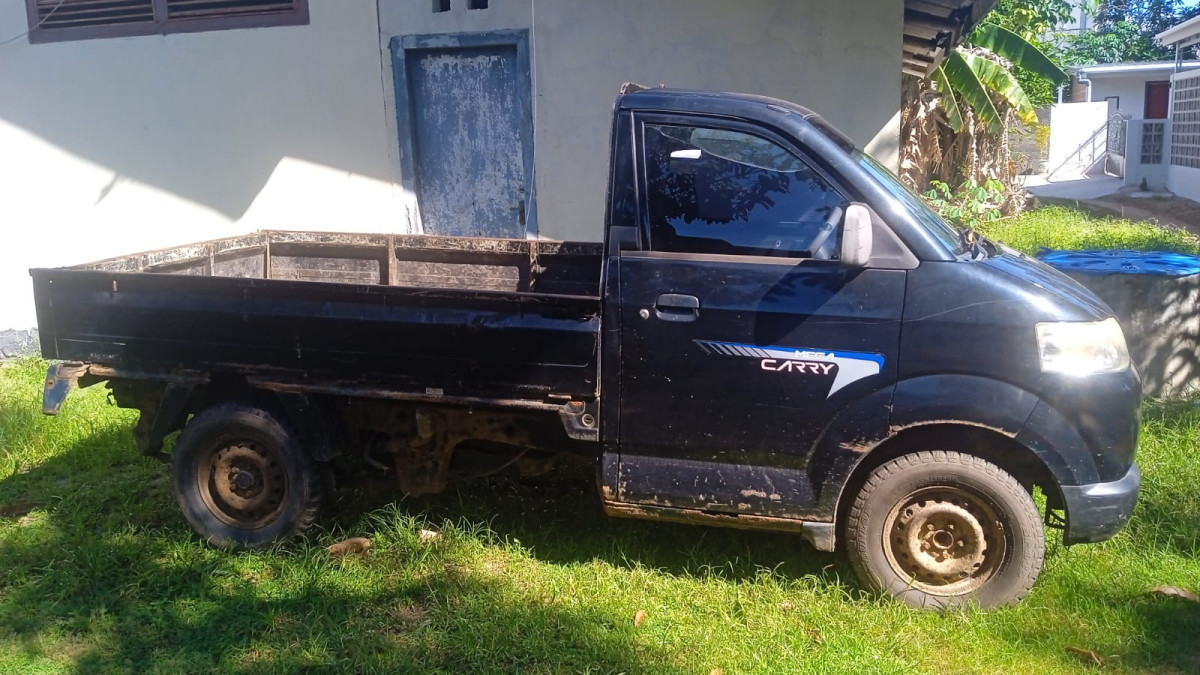 SUZUKI CARRY MEGA  P.U