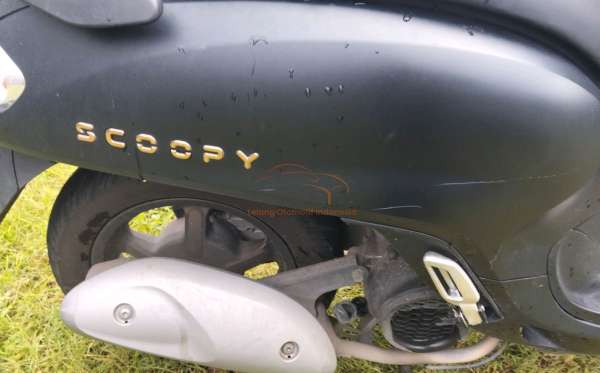HONDA  SCOOPY