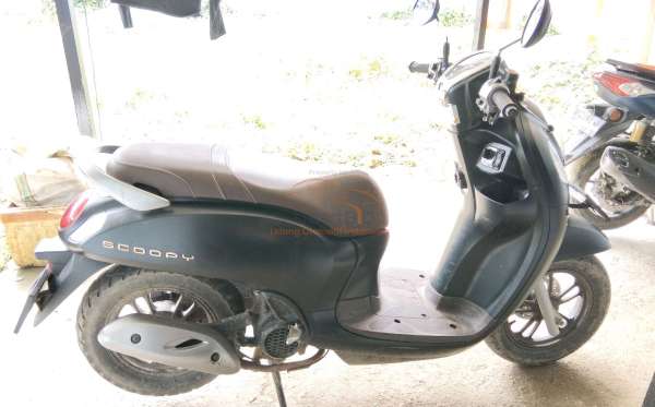 HONDA  SCOOPY