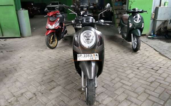 HONDA SCOOPY STYLISH
