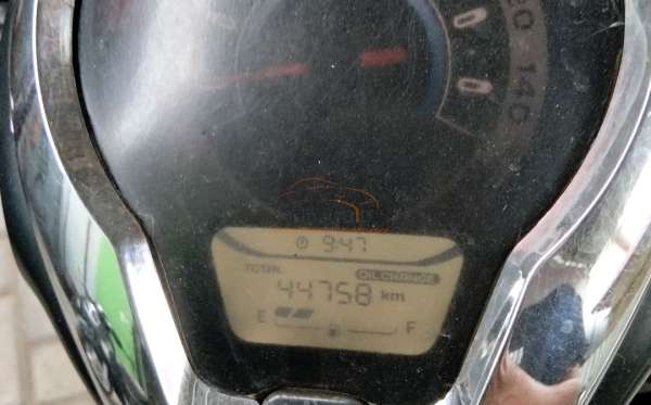HONDA SCOOPY STYLISH