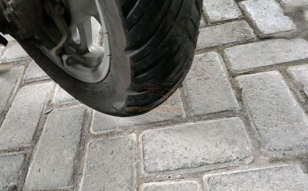 HONDA SCOOPY STYLISH