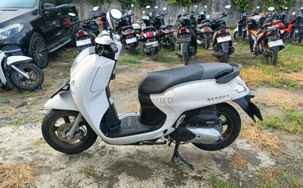 HONDA SCOOPY STYLISH