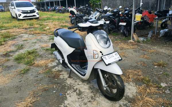 HONDA SCOOPY STYLISH