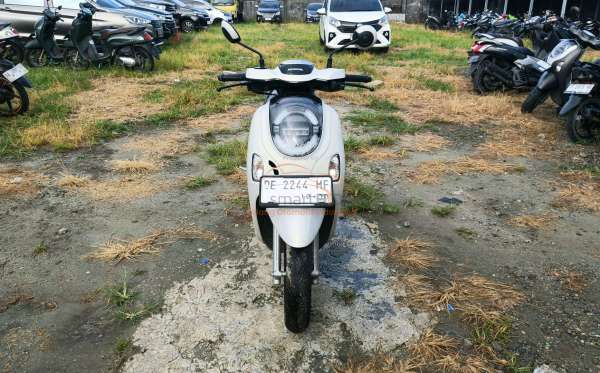HONDA SCOOPY STYLISH