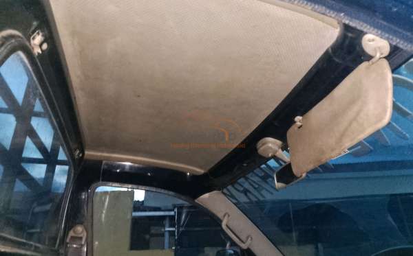 SUZUKI MEGA CARRY PU