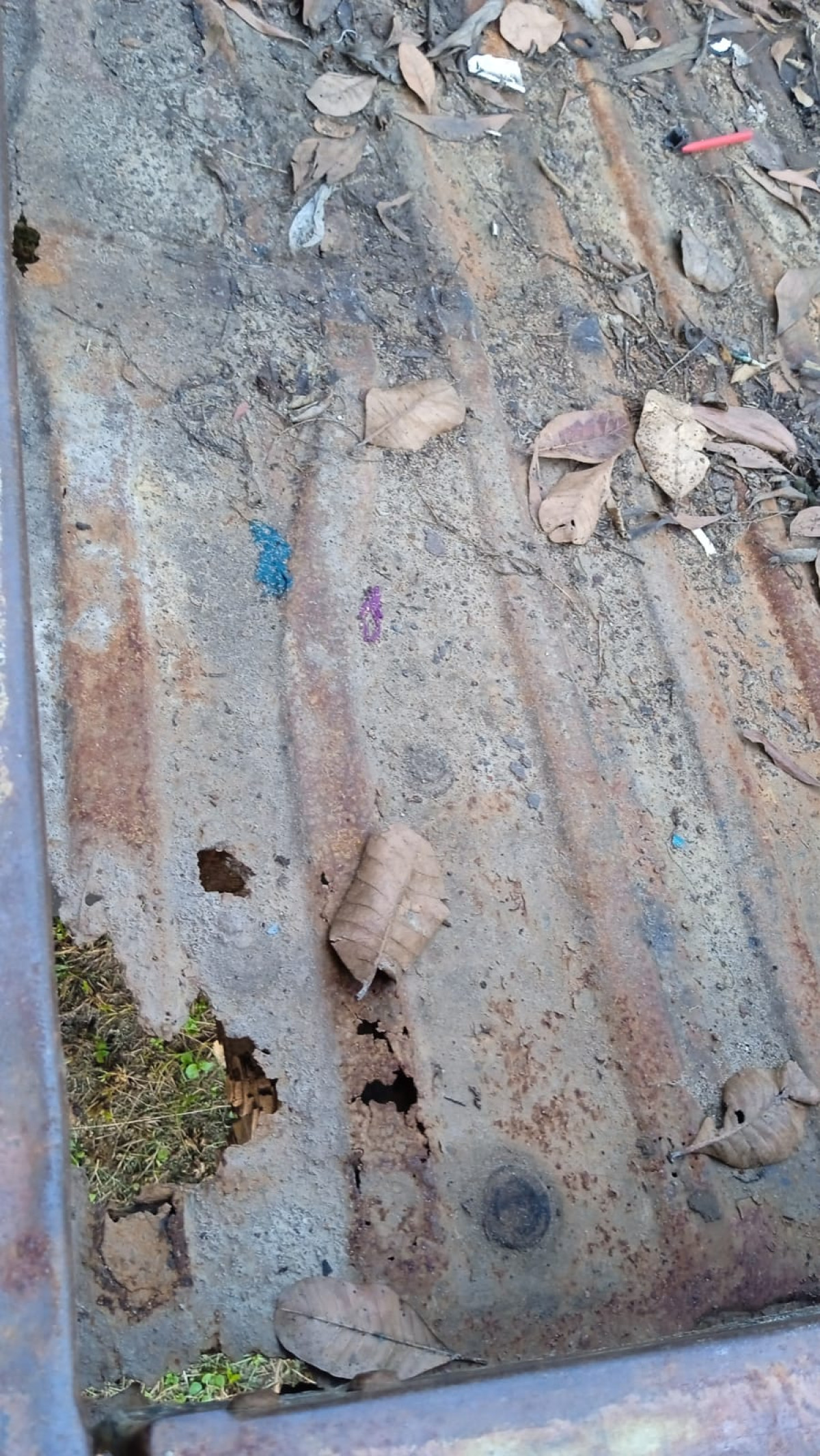 SUZUKI CARRY MEGA  P.U