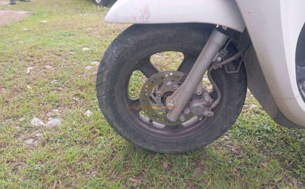 HONDA SCOOPY