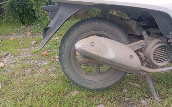 HONDA SCOOPY