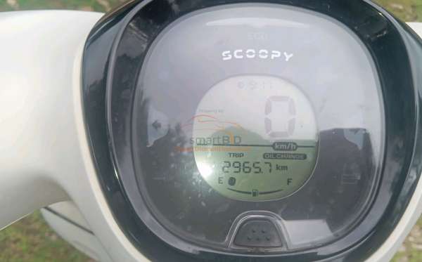 HONDA SCOOPY