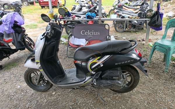 HONDA SCOOPY SPORTY