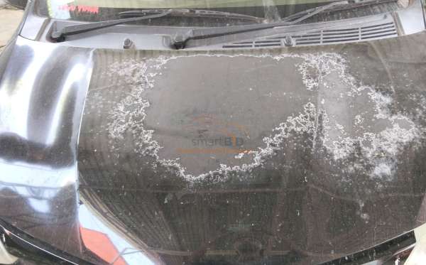 TOYOTA CALYA