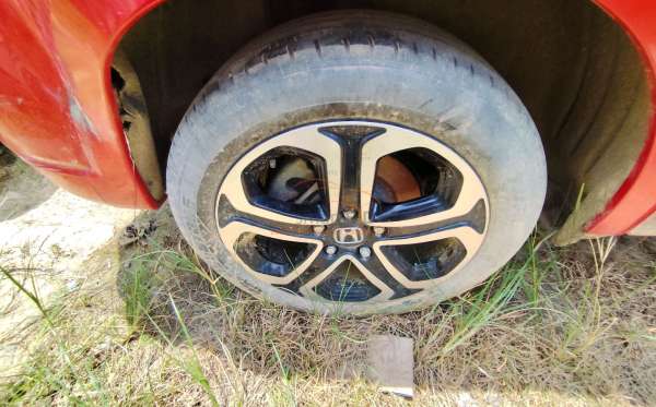 HONDA  HRV
