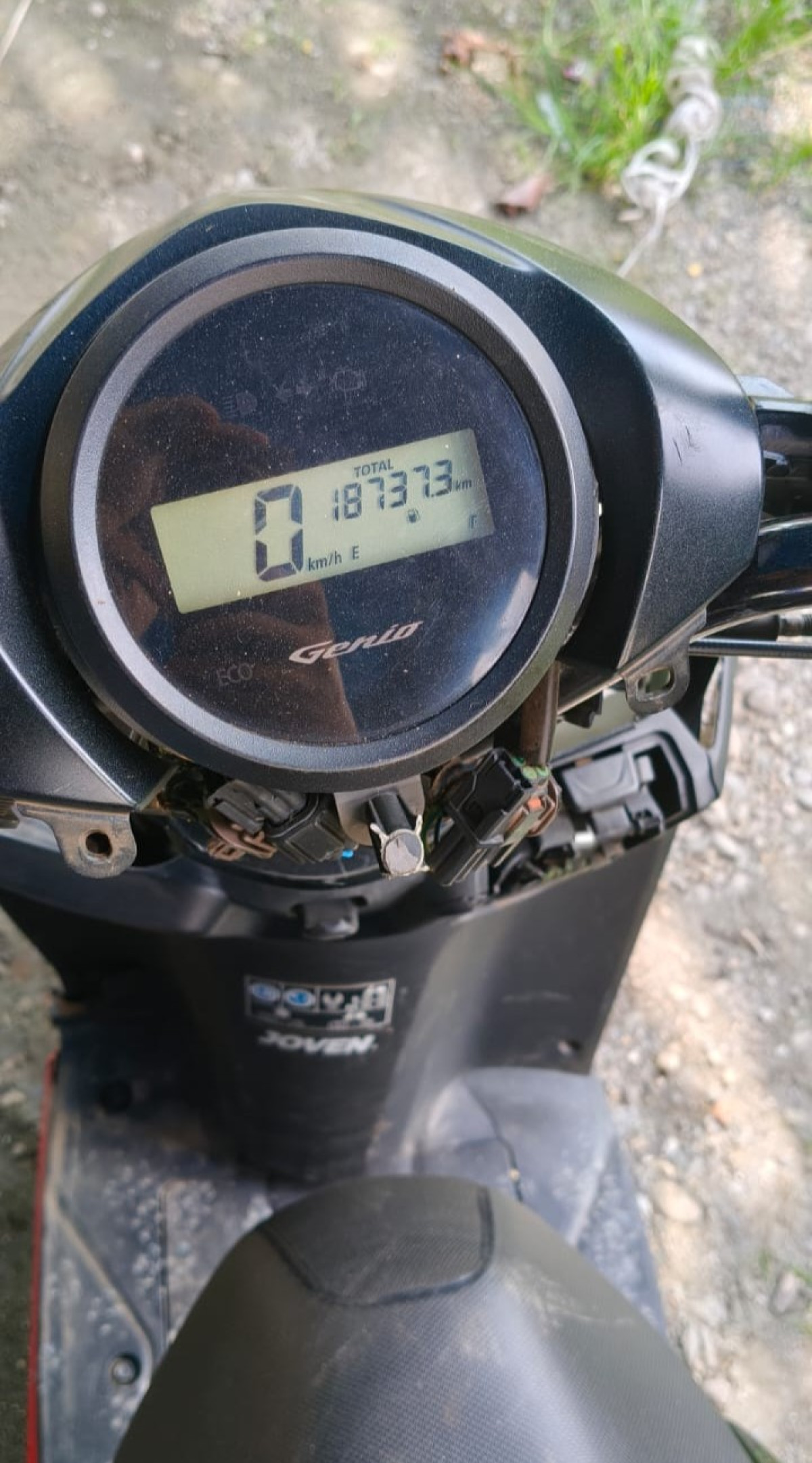 HONDA GENIO