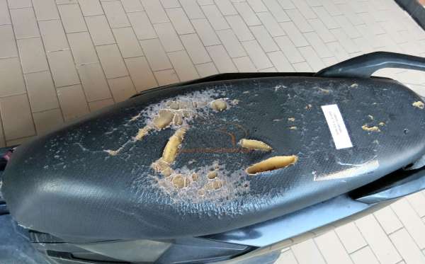 HONDA BEAT STREET