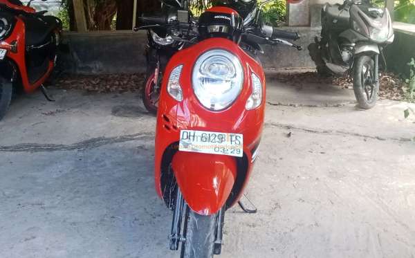 HONDA  SCOOPY