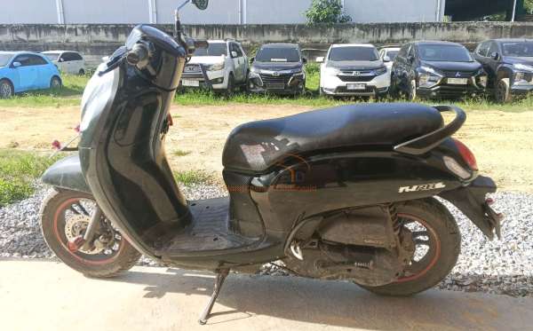 HONDA SCOOPY CW