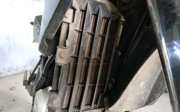 YAMAHA WR