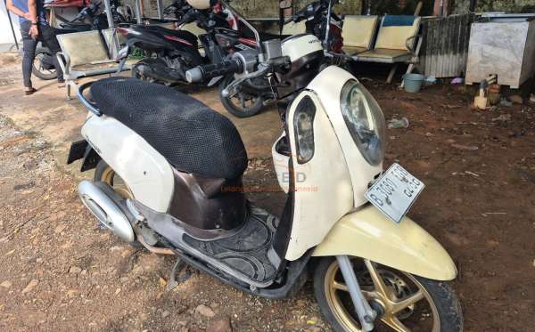 HONDA SCOOPY CW