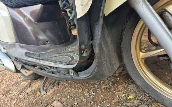 HONDA SCOOPY CW