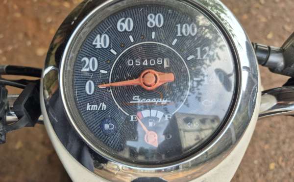 HONDA SCOOPY CW