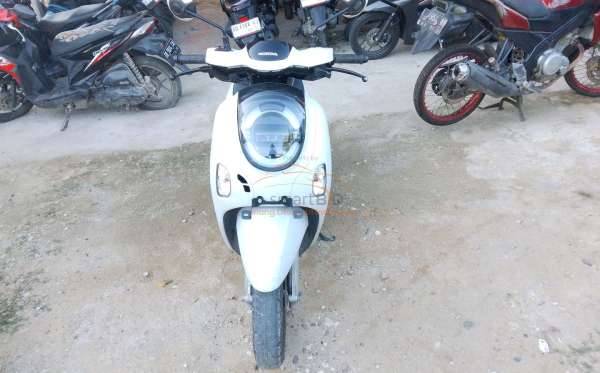 HONDA  SCOOPY