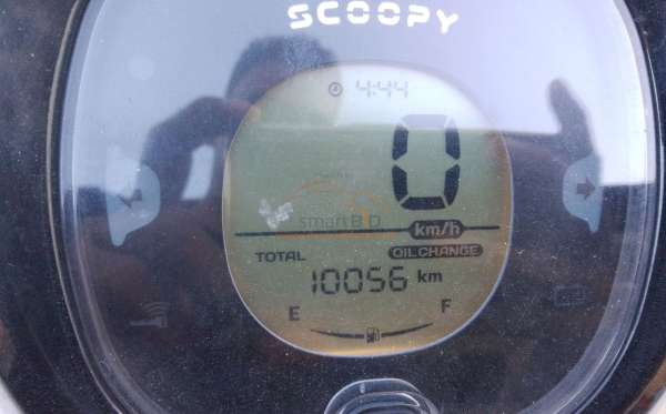 HONDA  SCOOPY