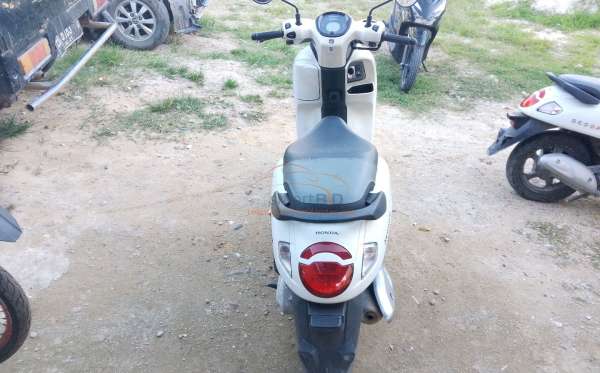 HONDA  SCOOPY