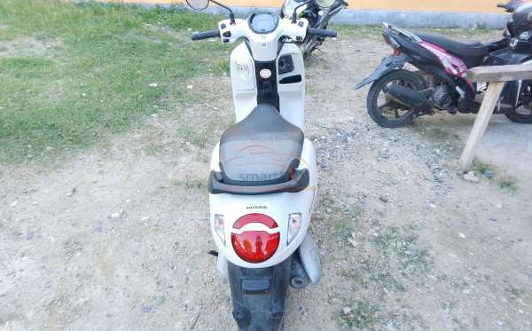 HONDA NEW SCOOPY ENERGETIC