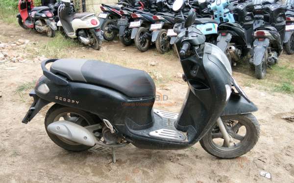 HONDA  SCOOPY