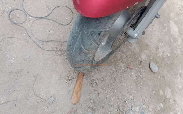 HONDA SCOOPY STYLISH