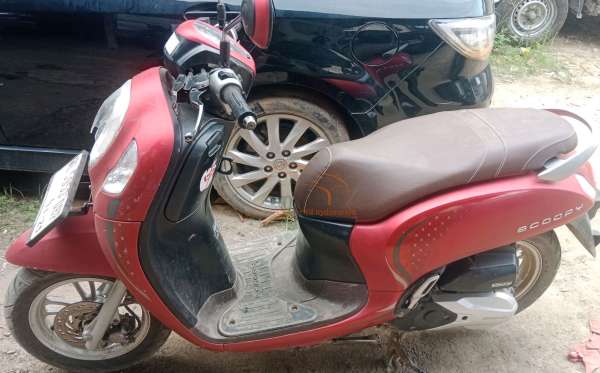 HONDA SCOOPY STYLISH