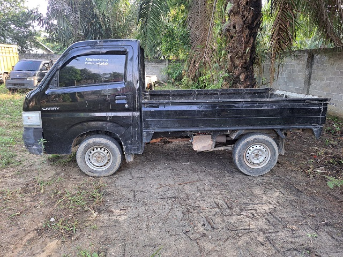 SUZUKI CARRY  PU
