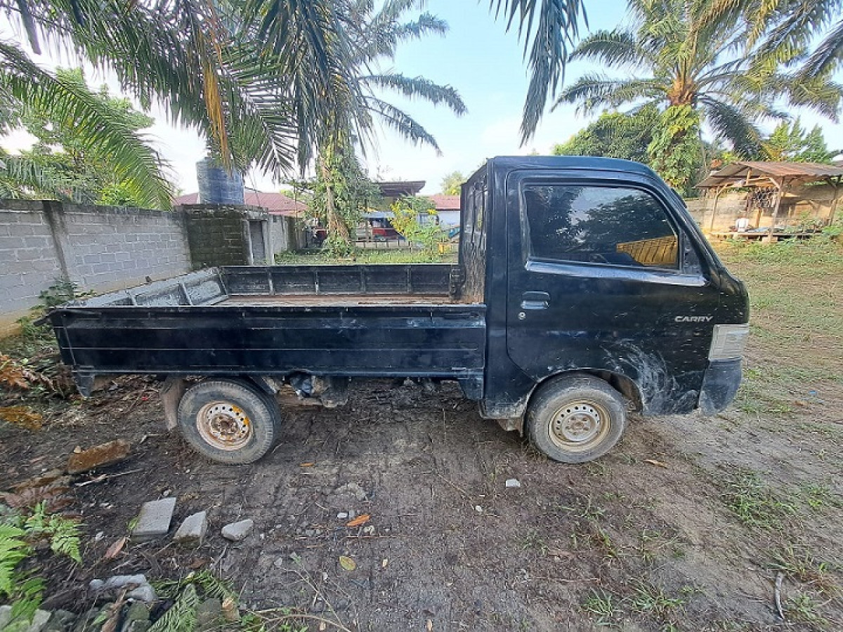 SUZUKI CARRY  PU